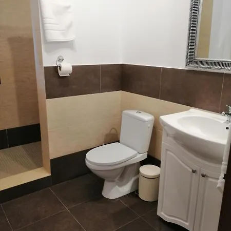 Casa Arinis Gura Humorului